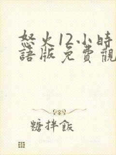 怒火12小时国语版免费观看