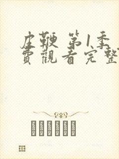 皮鞭 第1季免费观看完整版在线全集