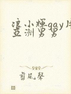 浪小辉gay片亚洲男男