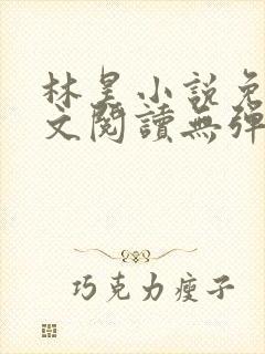 林昊小说免费全文阅读无弹窗