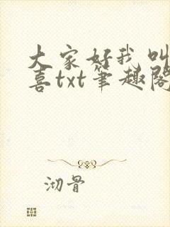 大家好我叫林小喜txt笔趣阁