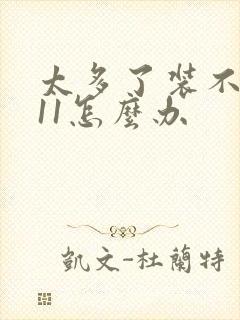 太多了装不下h11怎么办封面