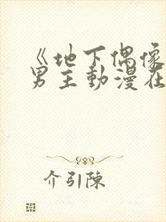 《地下偶像》双男主动漫在线