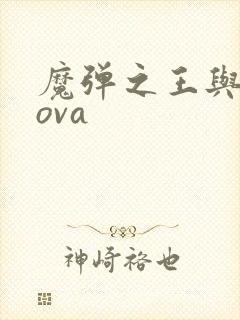 魔弹之王与战姬ova封面