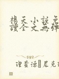 杨天小说免费阅读全文无弹窗封面