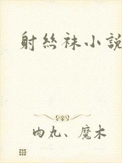 射丝袜小说