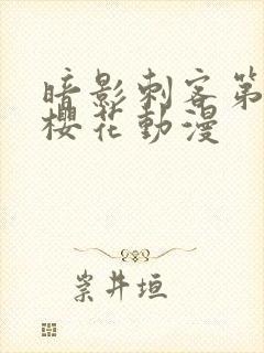 暗影刺客第4季樱花动漫