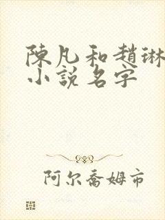 陈凡和赵琳琳的小说名字