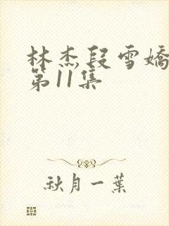 林杰段雪娇小说第11集