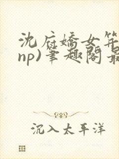 沈府娇女笄礼(np)笔趣阁最新章节更新时间封面