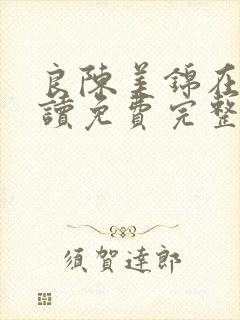 良陈美锦在线阅读免费完整版封面