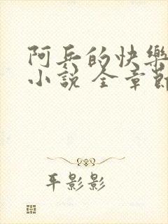 阿兵的快乐生活小说 全章节阅读免费封面