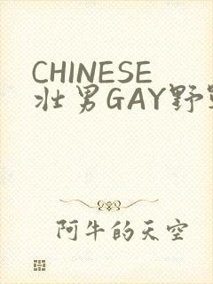 CHINESE壮男GAY野战强迫TUBE