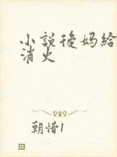 小说后妈给我消消火