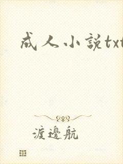 成人小说txt