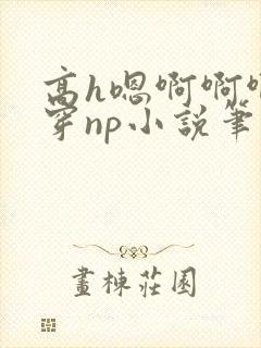 高h嗯啊啊啊快穿np小说笔趣阁