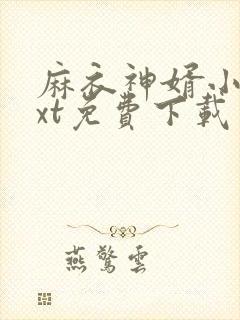 麻衣神婿小说txt免费下载