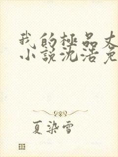 我的极品丈母娘小说沈浩免费阅读