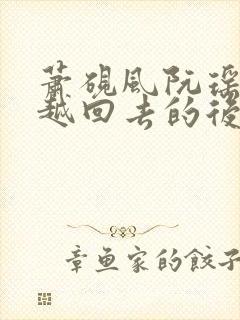 萧砚风阮瑶光穿越回去的后续