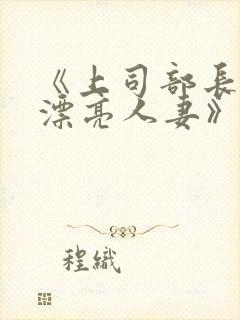 《上司部长出轨漂亮人妻》中字