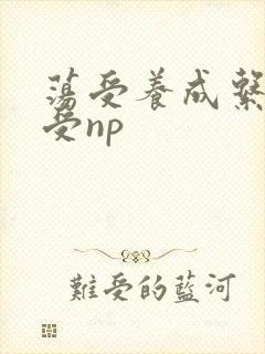 荡受养成系统总受np封面