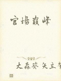 官场巅峰