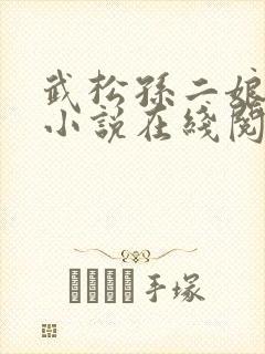 武松孙二娘云雨小说在线阅读