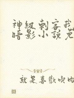 神级刺客我即是暗影小说免费阅读