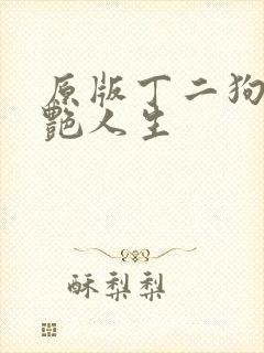 原版丁二狗的猎艳人生封面