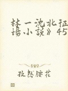 林一沈北征《官场小说》450封面