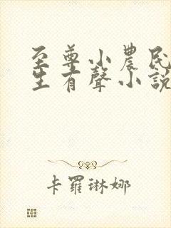 至尊小农民王木生有声小说全集收听免费听