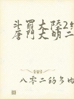 斗罗大陆2绝世唐门大明二明