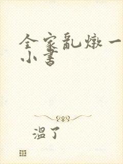 全家乱炖一锅烩小书