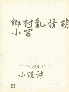 乡村乱情胡秀英小雷封面