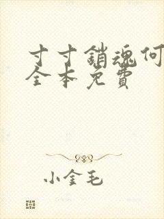 寸寸销魂何生祥全本免费