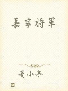 长宁将军封面