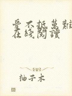 爱不抵万难小说在线阅读