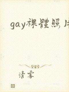 gay裸体照片