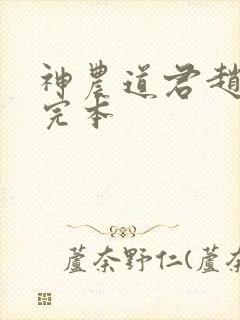 神农道君赵兴 完本