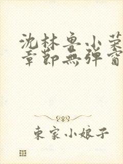 沈林鲁小荣最新章节无弹窗笔趣阁封面