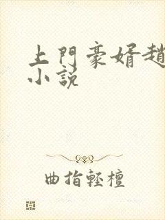 上门豪婿赵旭 小说