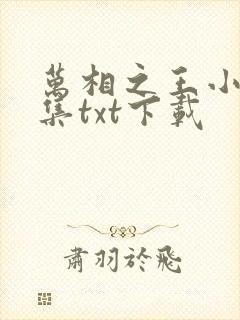 万相之王小说全集txt下载