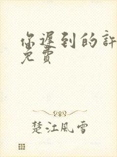 你迟到的许多年免费