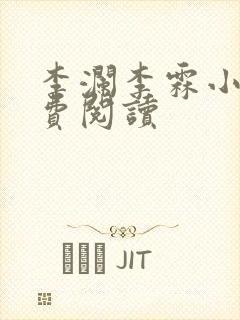 李澜李霖小说免费阅读