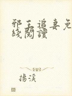 邪王追妻免费在线阅读