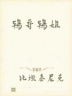 鸨哥鸨姐