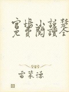 官场小说楚祈宇免费阅读全文