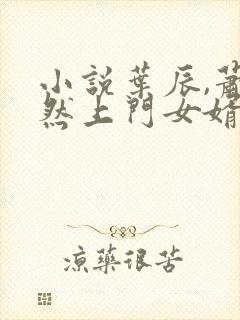 小说叶辰,萧初然上门女婿