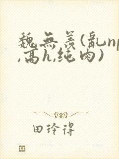 魏无羡(乱np,高h,纯肉)