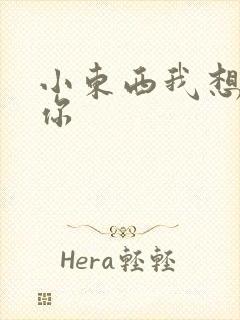 小东西我想弄坏你